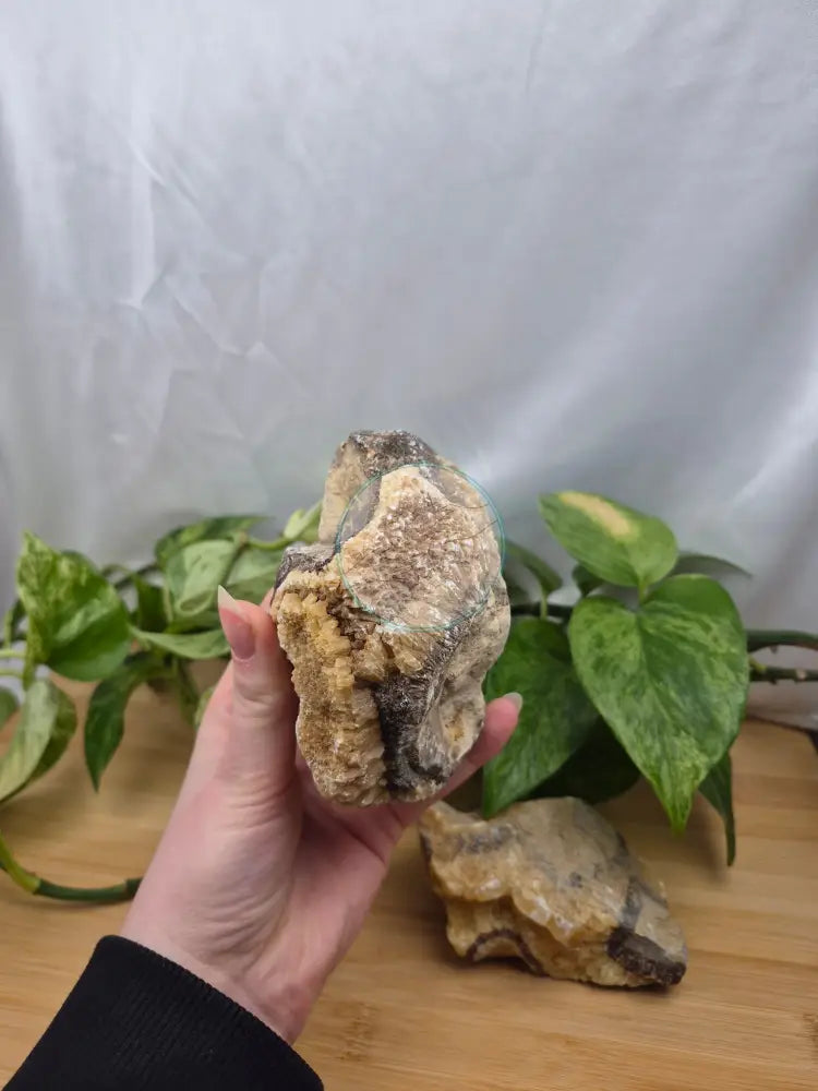 SEPTARIAN ROUGH CHUNK