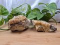 SEPTARIAN ROUGH CHUNK