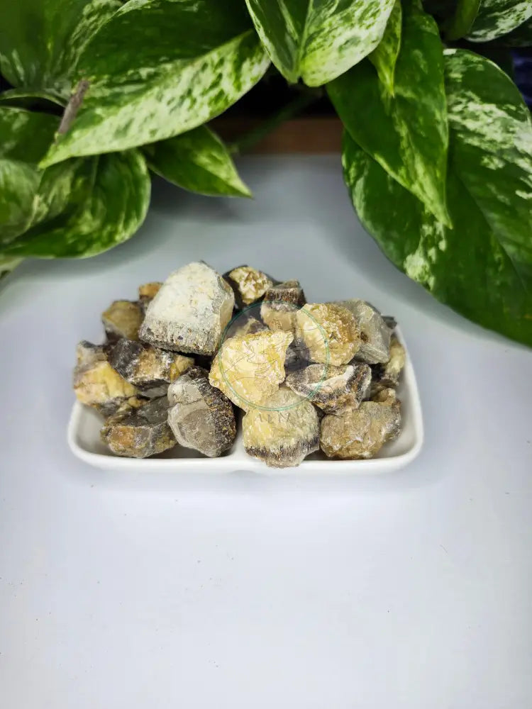 SEPTARIAN ROUGH STONE - ROUGH STONE