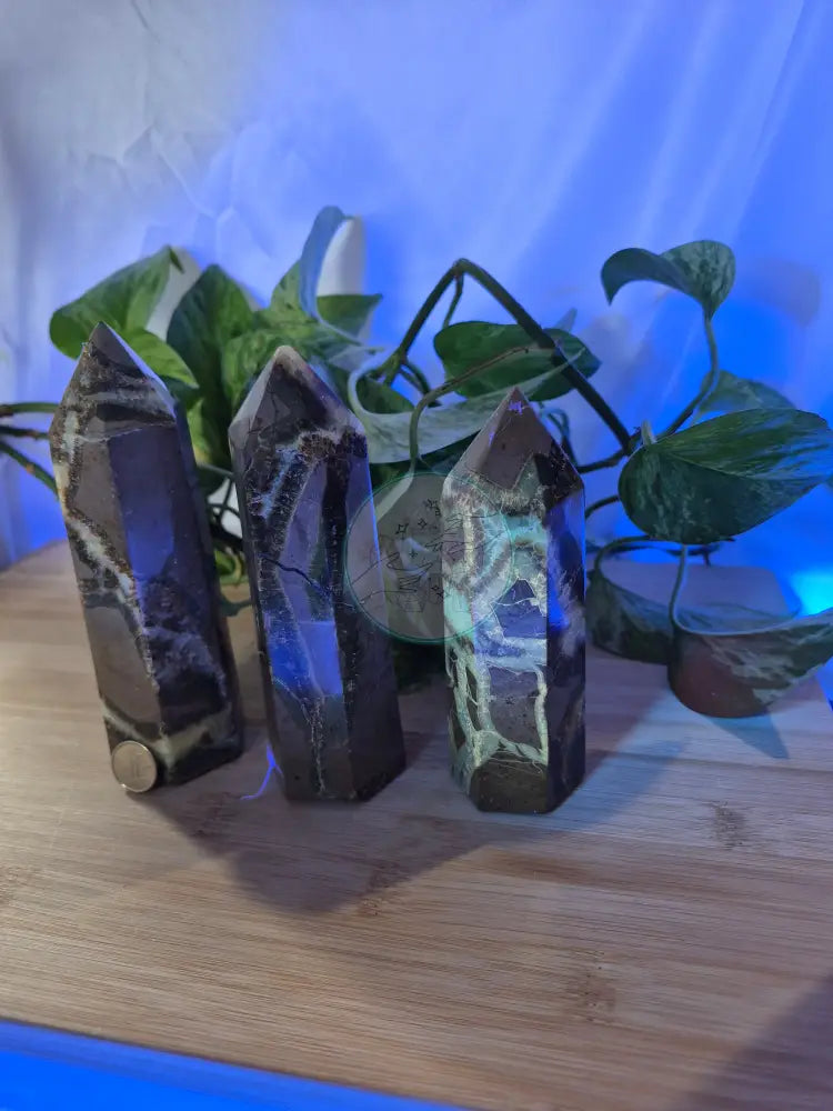 SEPTARIAN TOWER