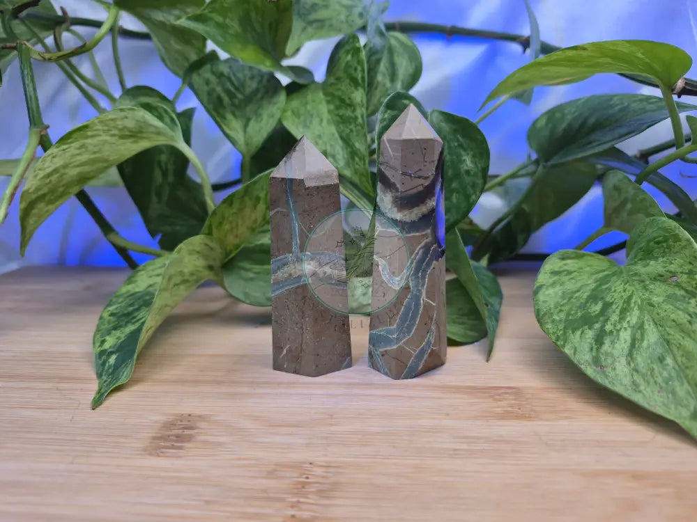 SEPTARIAN TOWER