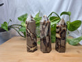 SEPTARIAN TOWER
