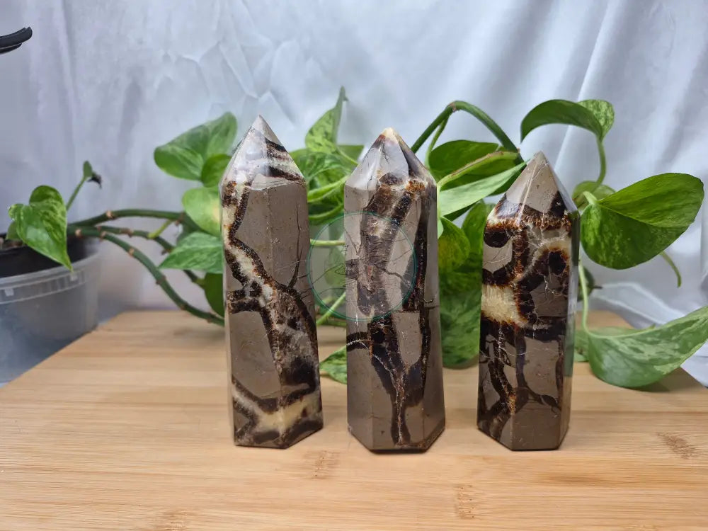 SEPTARIAN TOWER