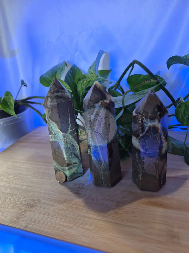 SEPTARIAN TOWER