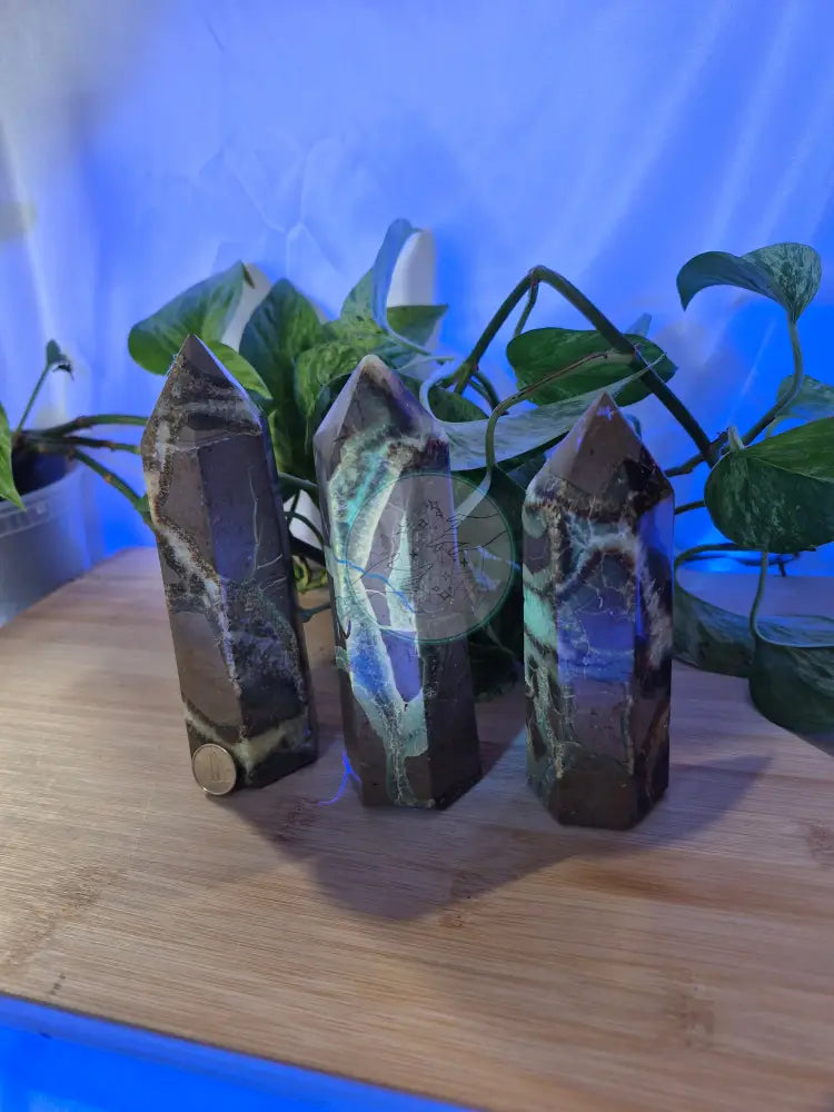 SEPTARIAN TOWER