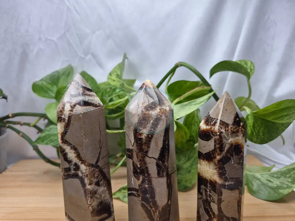 SEPTARIAN TOWER