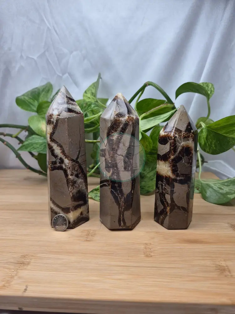 SEPTARIAN TOWER