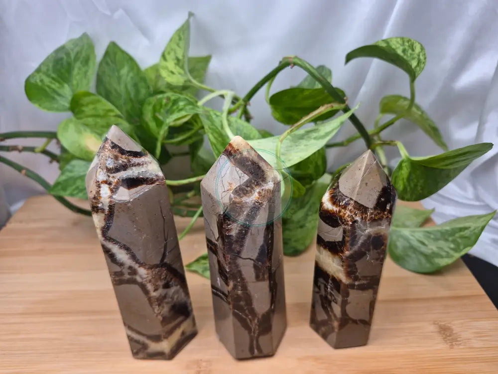 SEPTARIAN TOWER