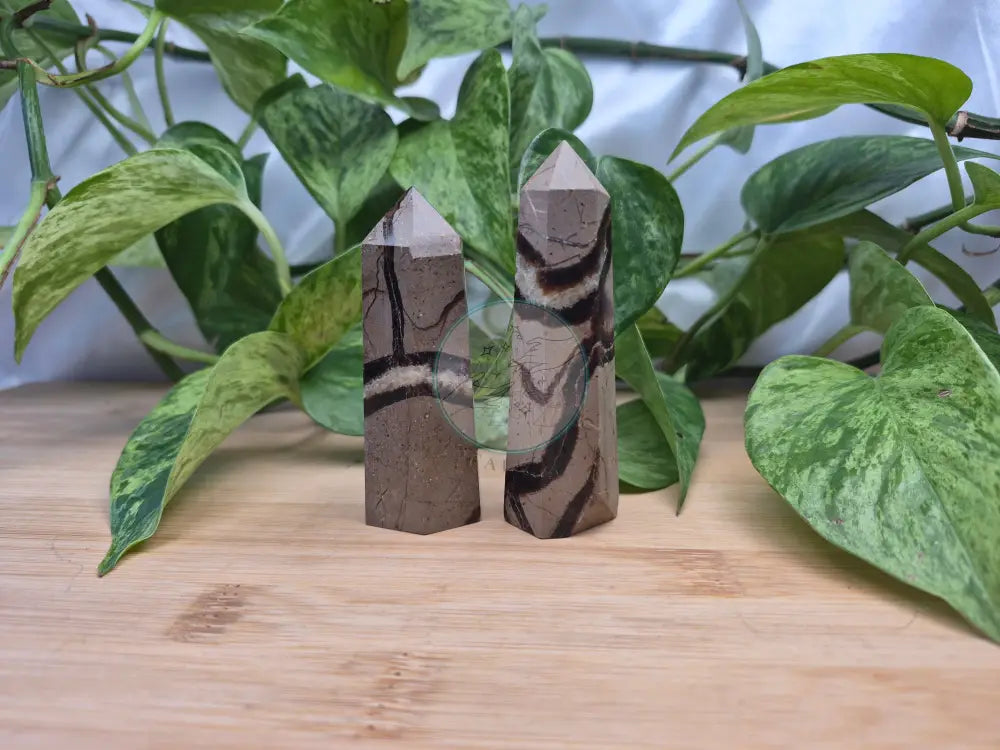SEPTARIAN TOWER