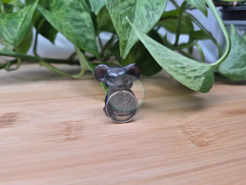SILVER SHEEN OBSIDIAN KOALA