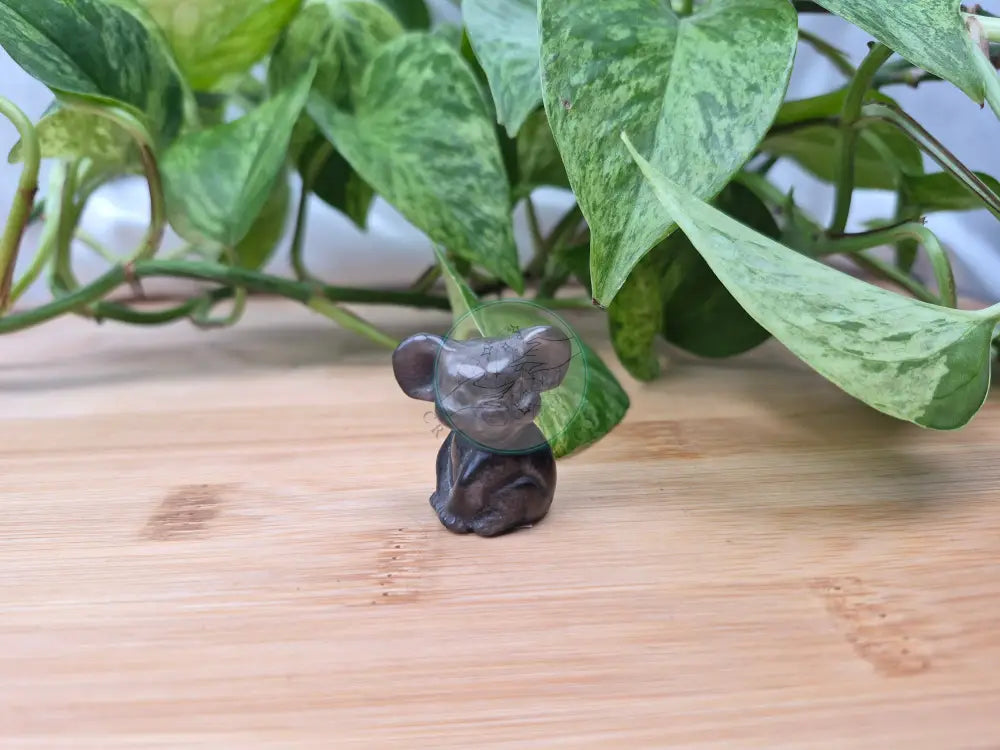 SILVER SHEEN OBSIDIAN KOALA