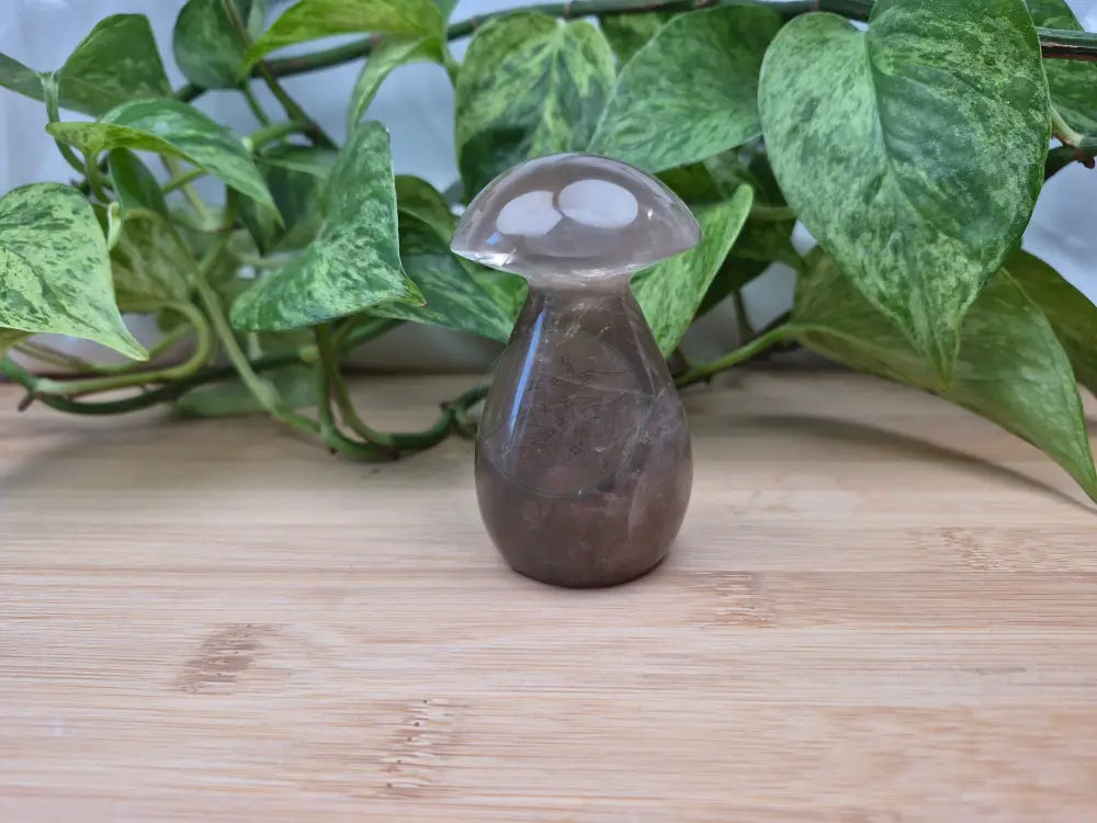 SMOKY MOONSTONE MUSHROOM