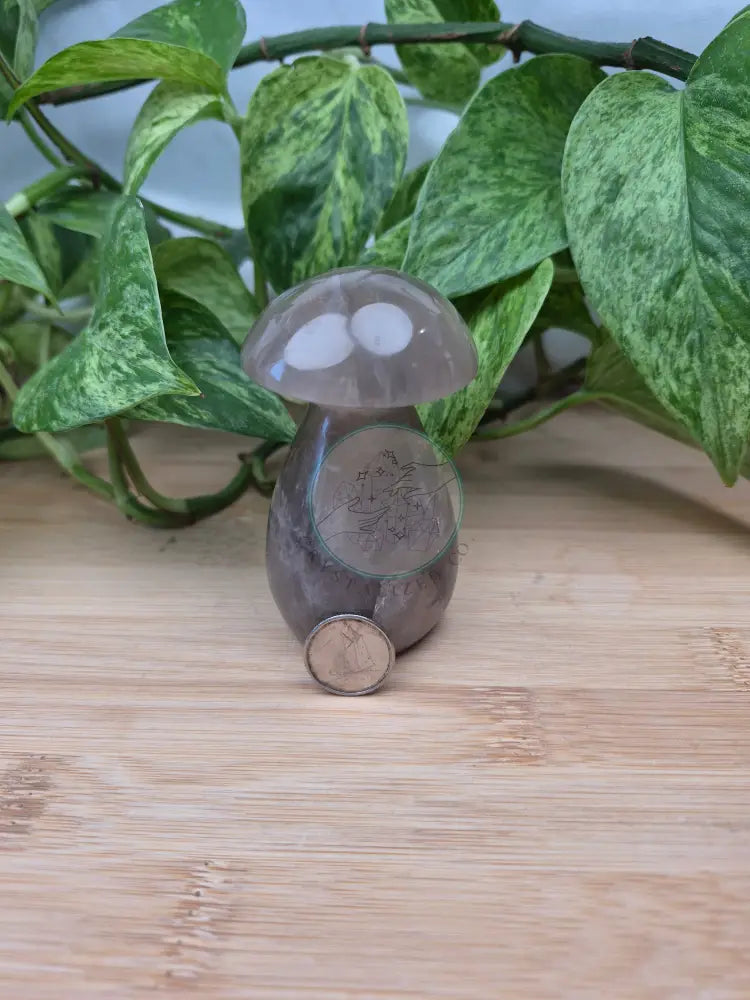 SMOKY MOONSTONE MUSHROOM