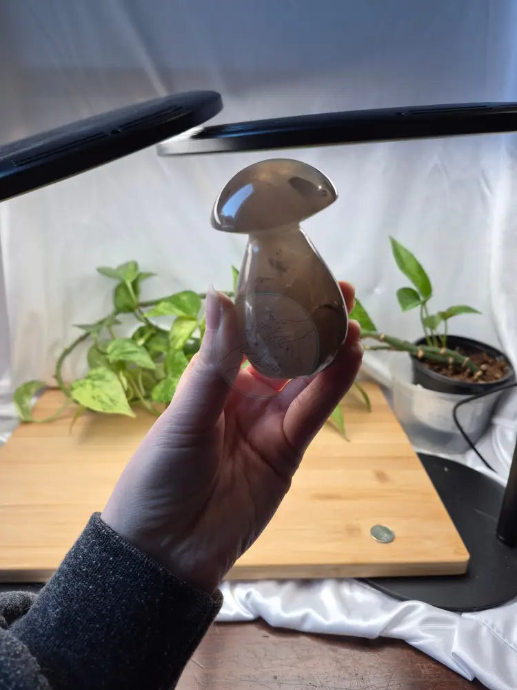 SMOKY MOONSTONE MUSHROOM