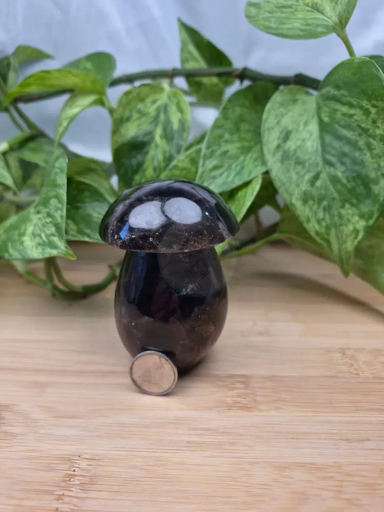 SMOKY QUARTZ MUSHROOM