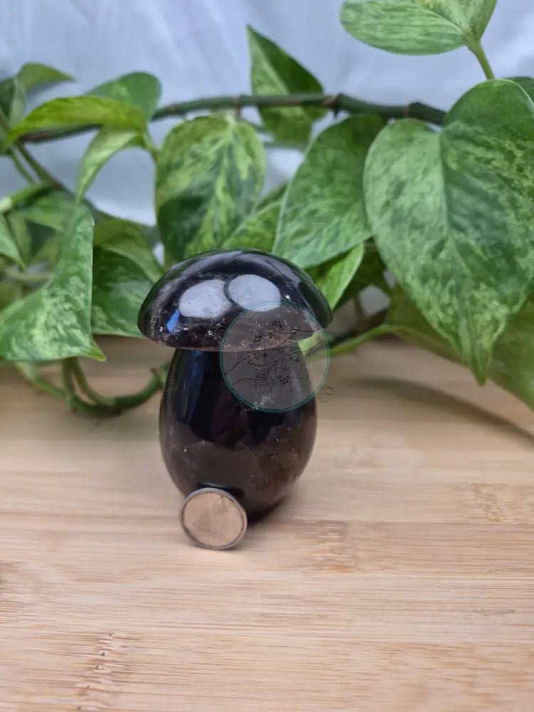 SMOKY QUARTZ MUSHROOM