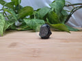 SNOWFLAKE OBSIDIAN PINGUIN