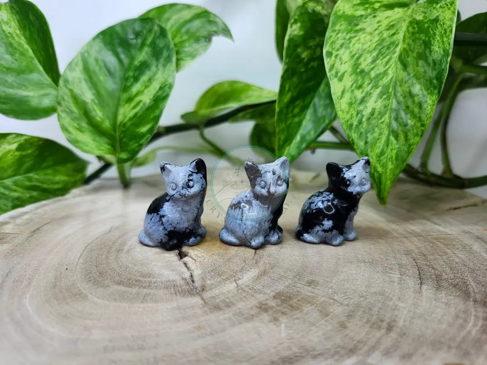 SNOWFLAKE OBSIDIAN SITTING CAT