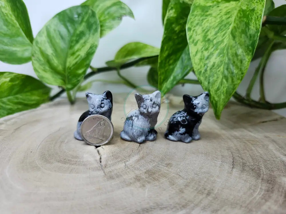 SNOWFLAKE OBSIDIAN SITTING CAT
