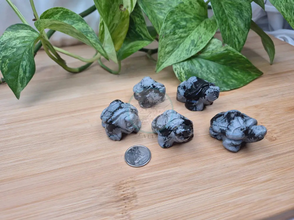 SNOWFLAKE OBSIDIAN TURTLE