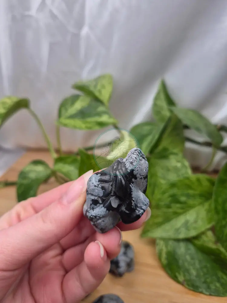 SNOWFLAKE OBSIDIAN TURTLE