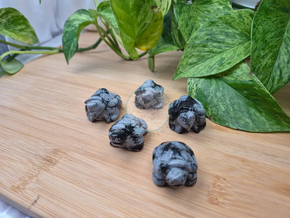SNOWFLAKE OBSIDIAN TURTLE