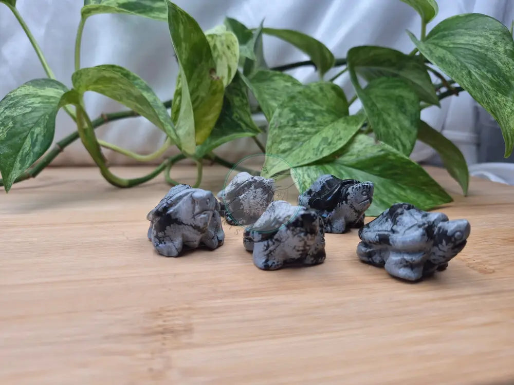 SNOWFLAKE OBSIDIAN TURTLE