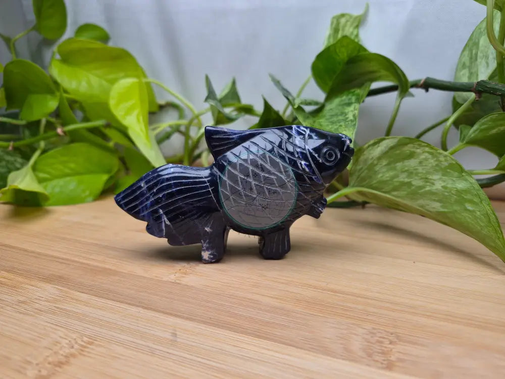 SODALITE FISH