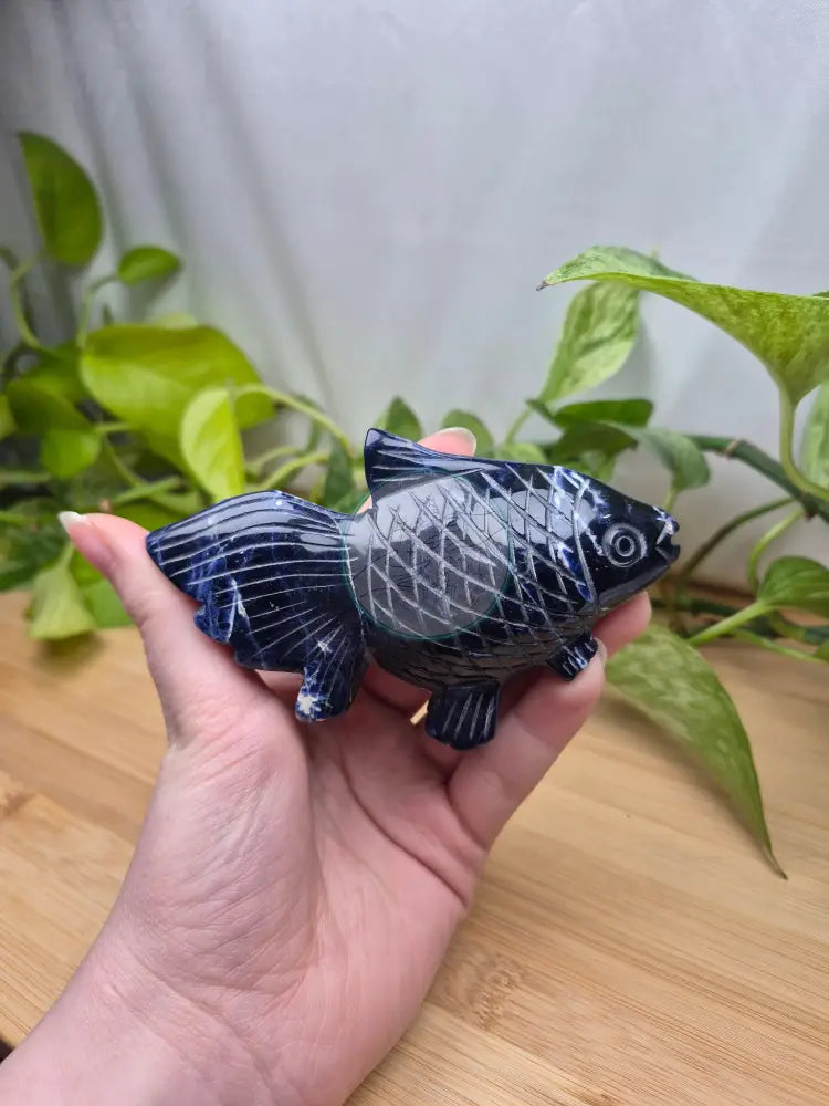 SODALITE FISH