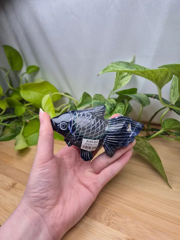 SODALITE FISH