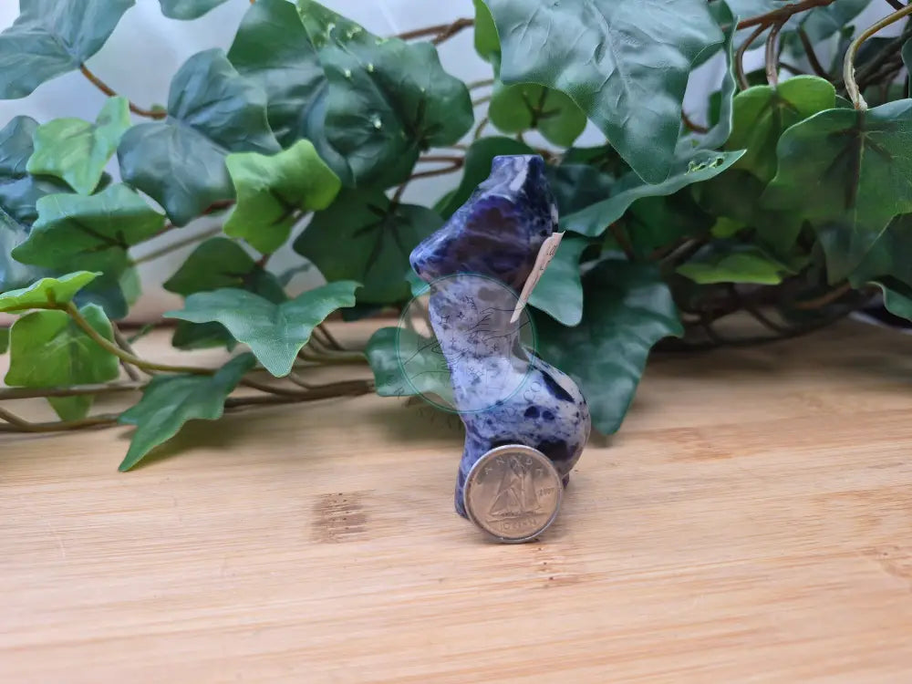 SODALITE GODDESS BODY