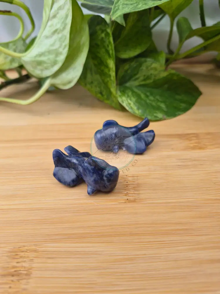 SODALITE GOLDFISH