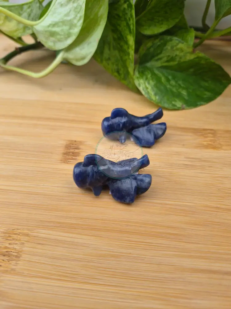 SODALITE GOLDFISH