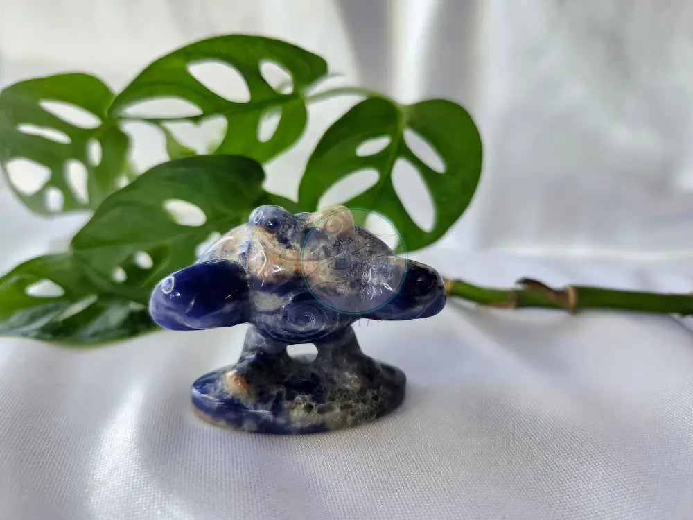 SODALITE LG POLIWHIRL