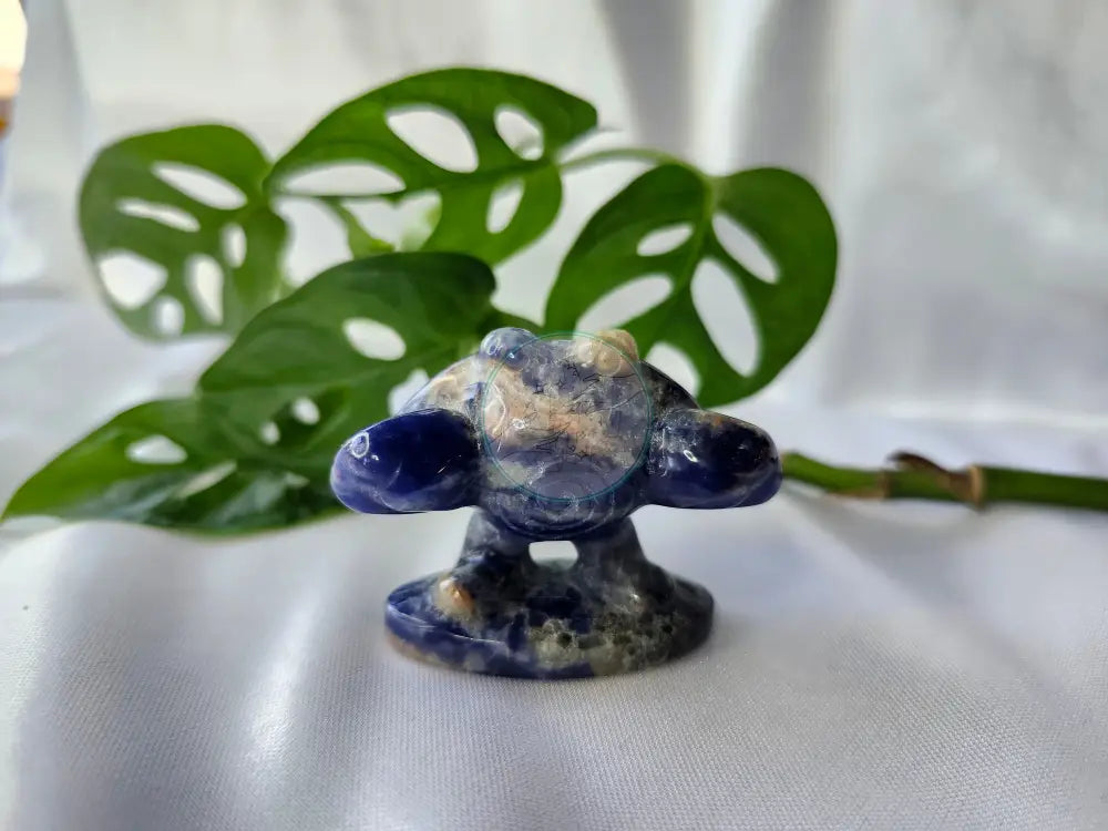 SODALITE LG POLIWHIRL