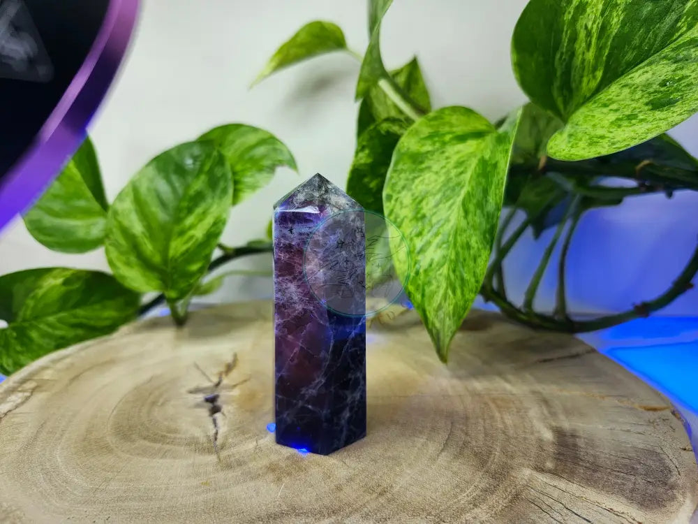 SODALITE TOWER (uv REACTIVE)