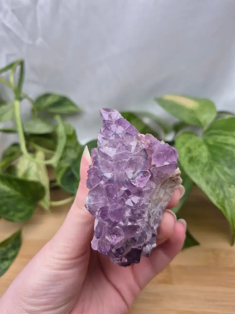 THUNDERBAY AMETHYST CLUSTER