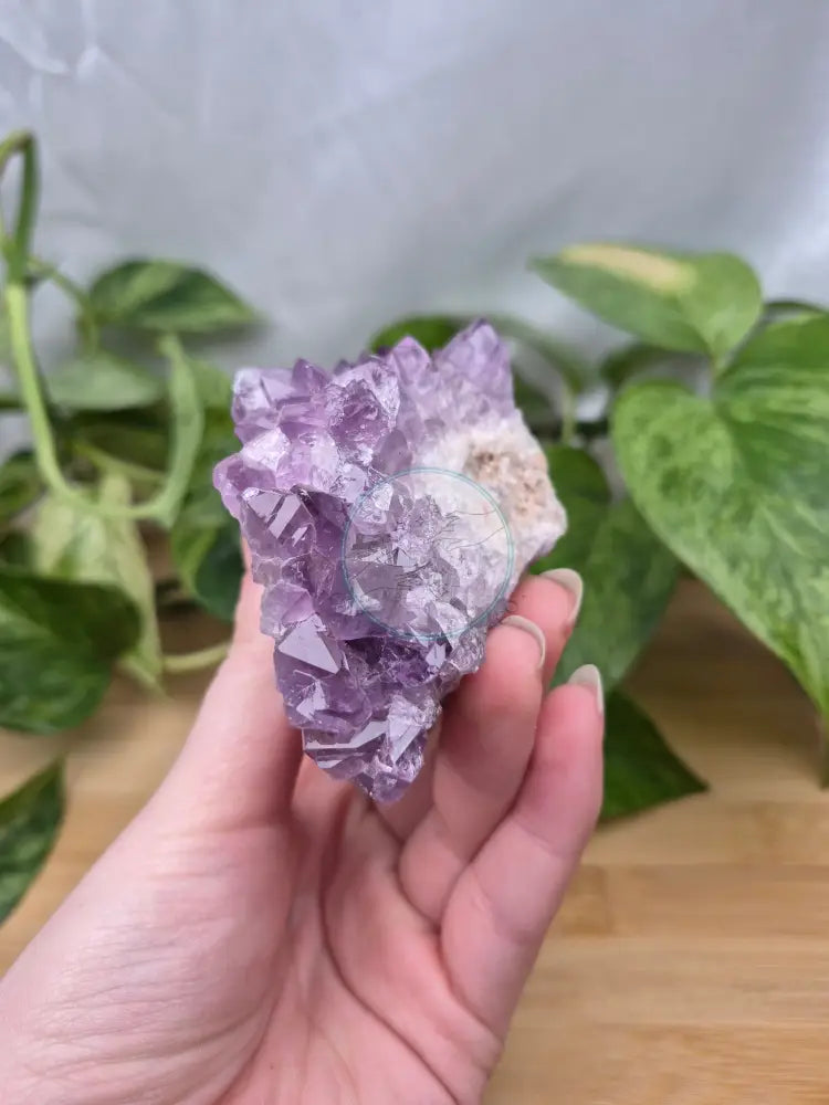THUNDERBAY AMETHYST CLUSTER