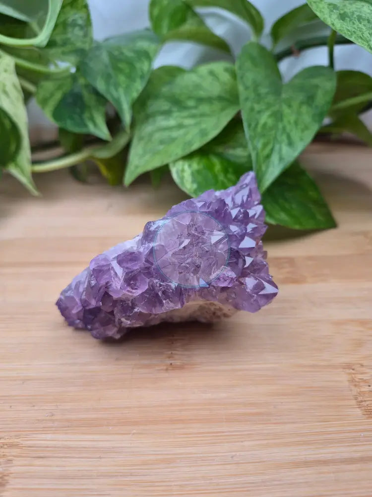 THUNDERBAY AMETHYST CLUSTER