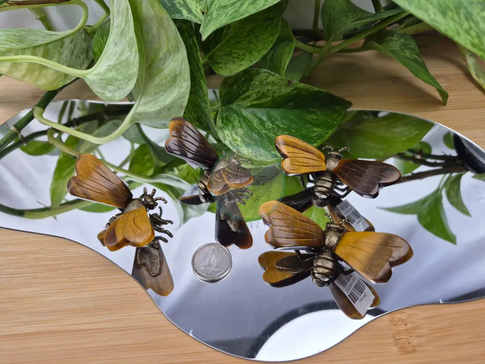 TIGERS EYE BEE