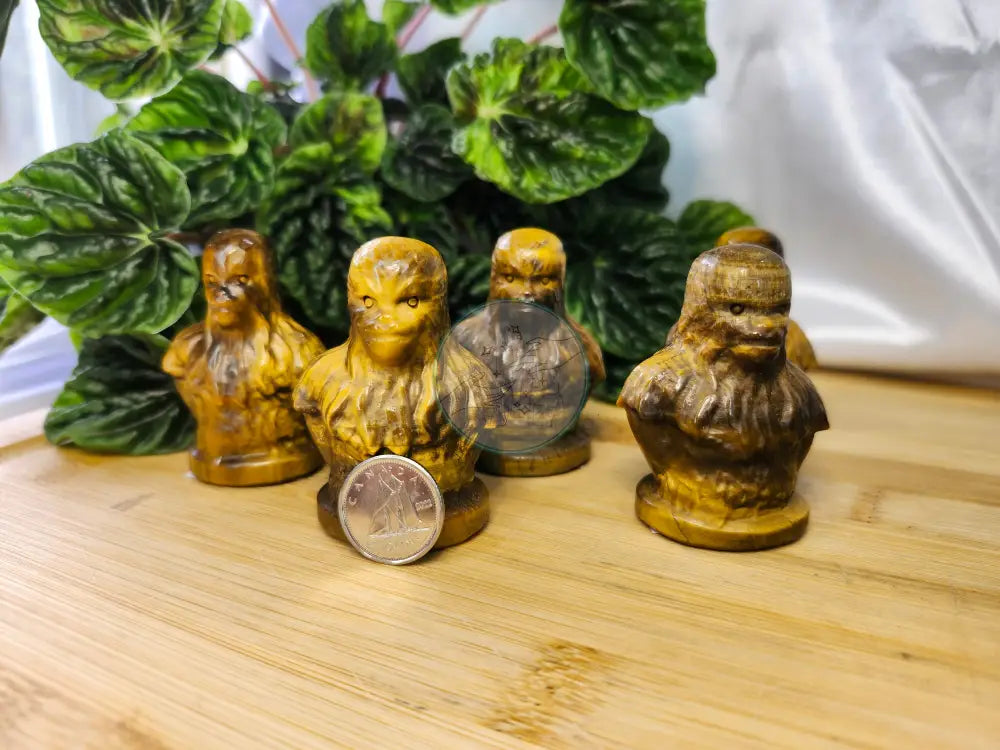 TIGER’S EYE CHEWIE