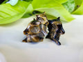 TIGERS EYE CUBONE - CARVING
