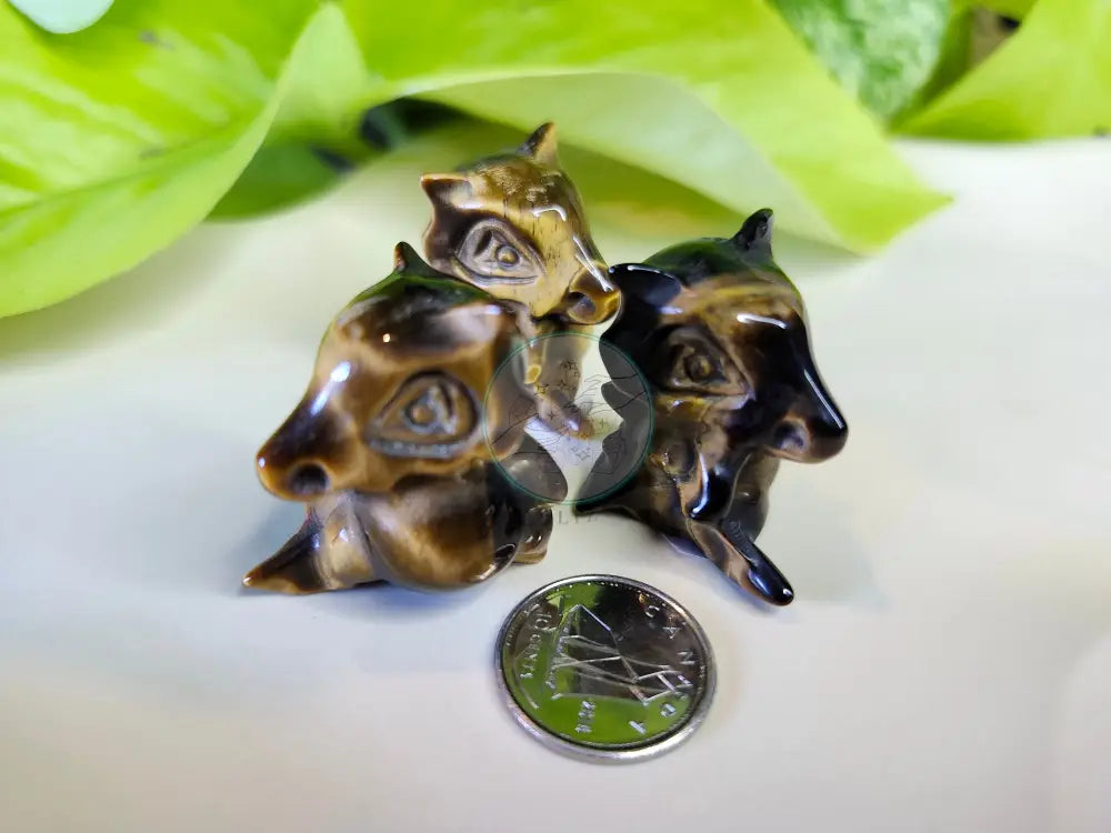 TIGERS EYE CUBONE - CARVING