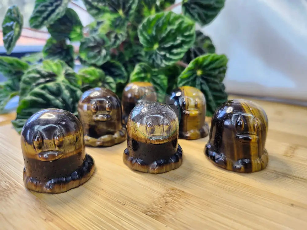 TIGER’S EYE DIGLET - Crystals and Fossils