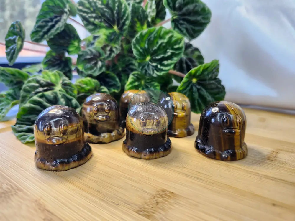 TIGER’S EYE DIGLET - Crystals and Fossils
