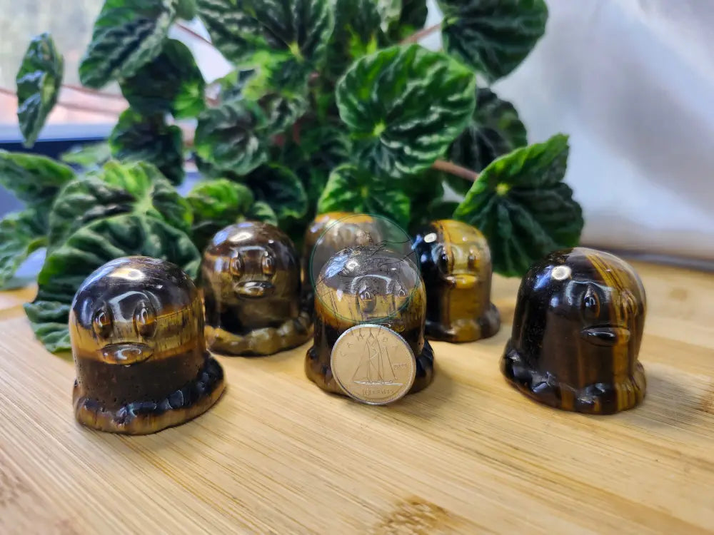 TIGER’S EYE DIGLET - Crystals and Fossils