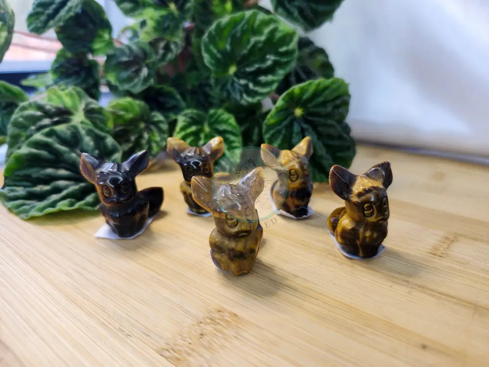 TIGER’S EYE EEVEE - Crystals and Fossils