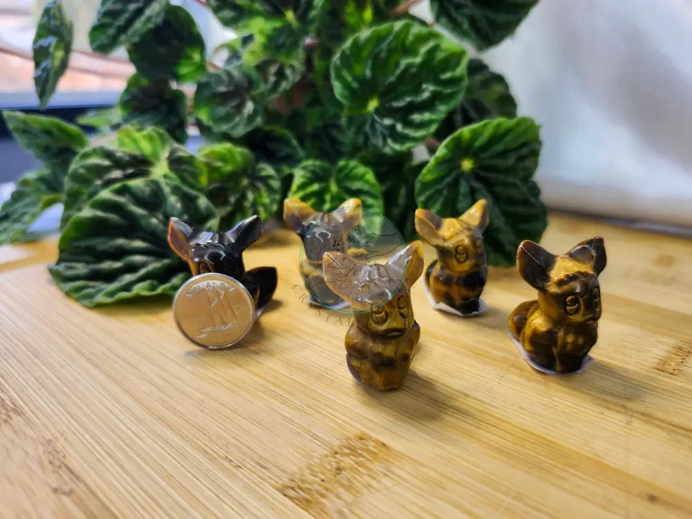 TIGER’S EYE EEVEE - Crystals and Fossils