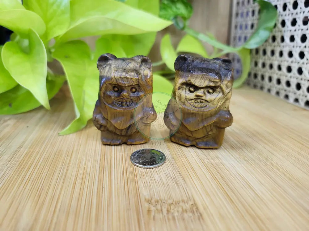 TIGERS EYE EWOK