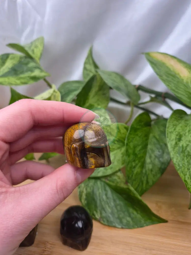 TIGERS EYE MANDO HELMET